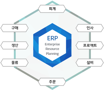ERP(Enterprise Resource Planning)-회계, 인사,프로젝트,설비,주문,구매,생산,물류